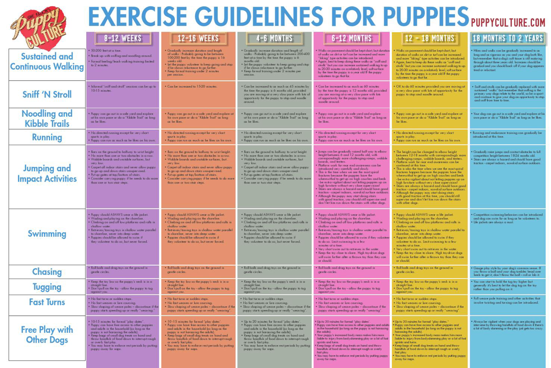 German Shepherd Puppy Exercise Chart